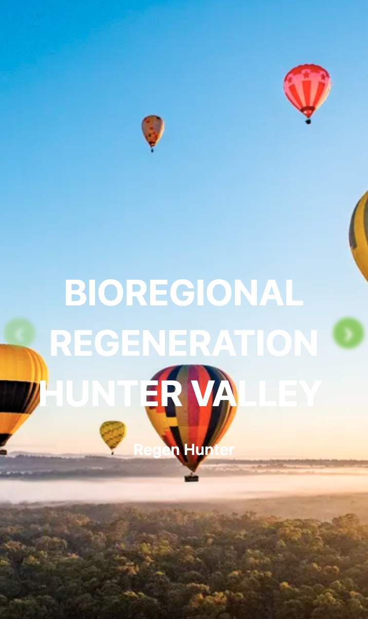 Screenshot 2025-06-10 at 5.32.09 pm